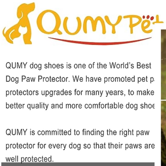 Qumy Pets shoes (2 sets) - Picture 15 of 15